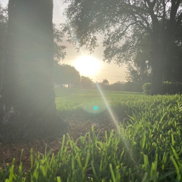 Meet your Posher, Haley - Picture 4 of 5